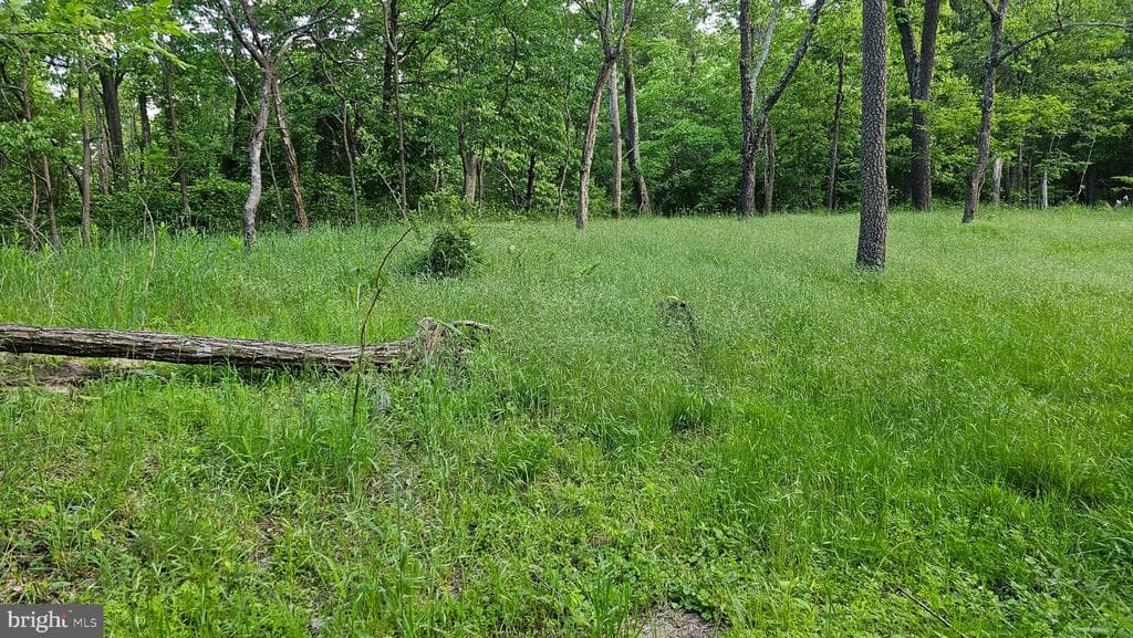 Property photo #13 for 6.74+/- Acres Dry Run Rd / Polecat Hollow Rd, Mercersburg, PA 17236