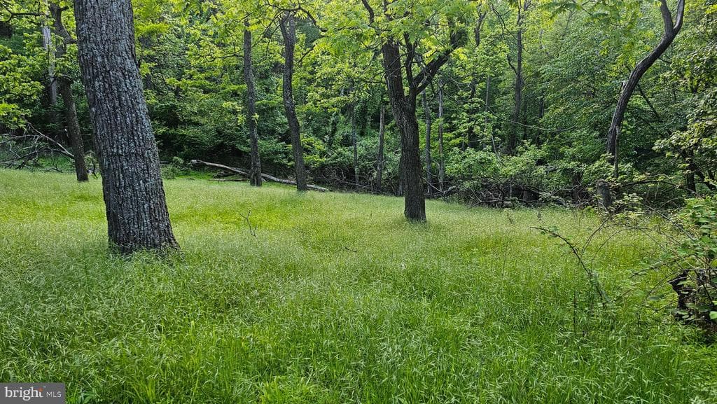 Property photo #14 for 6.74+/- Acres Dry Run Rd / Polecat Hollow Rd, Mercersburg, PA 17236