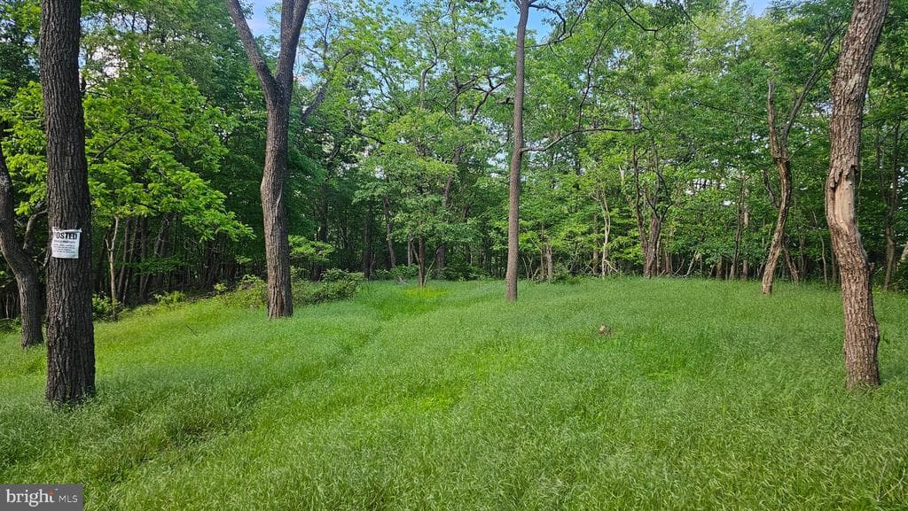 Property photo #15 for 6.74+/- Acres Dry Run Rd / Polecat Hollow Rd, Mercersburg, PA 17236