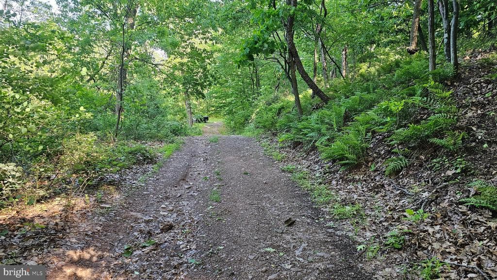 Property photo #16 for 6.74+/- Acres Dry Run Rd / Polecat Hollow Rd, Mercersburg, PA 17236