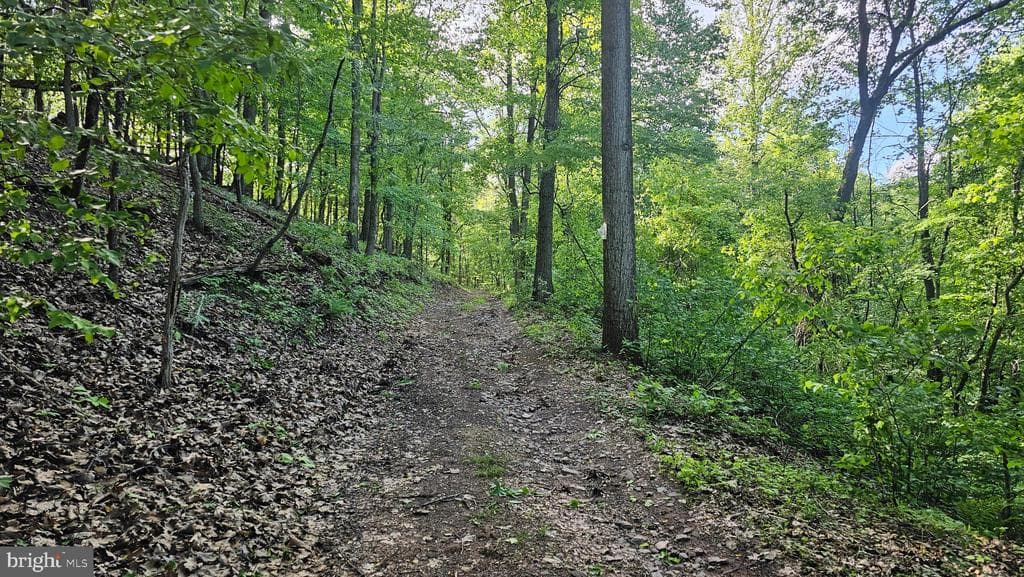 Property photo #17 for 6.74+/- Acres Dry Run Rd / Polecat Hollow Rd, Mercersburg, PA 17236