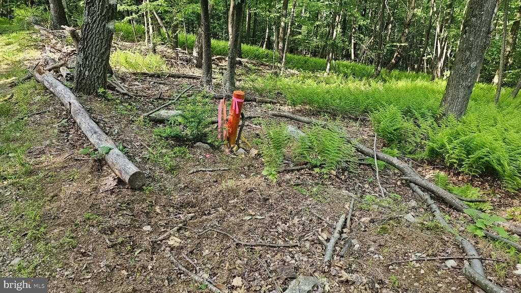 Property photo #18 for 6.74+/- Acres Dry Run Rd / Polecat Hollow Rd, Mercersburg, PA 17236