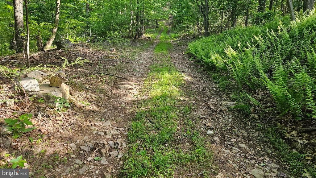 Property photo #19 for 6.74+/- Acres Dry Run Rd / Polecat Hollow Rd, Mercersburg, PA 17236
