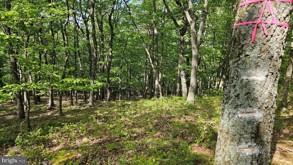 Property photo #2 for 6.74+/- Acres Dry Run Rd / Polecat Hollow Rd, Mercersburg, PA 17236