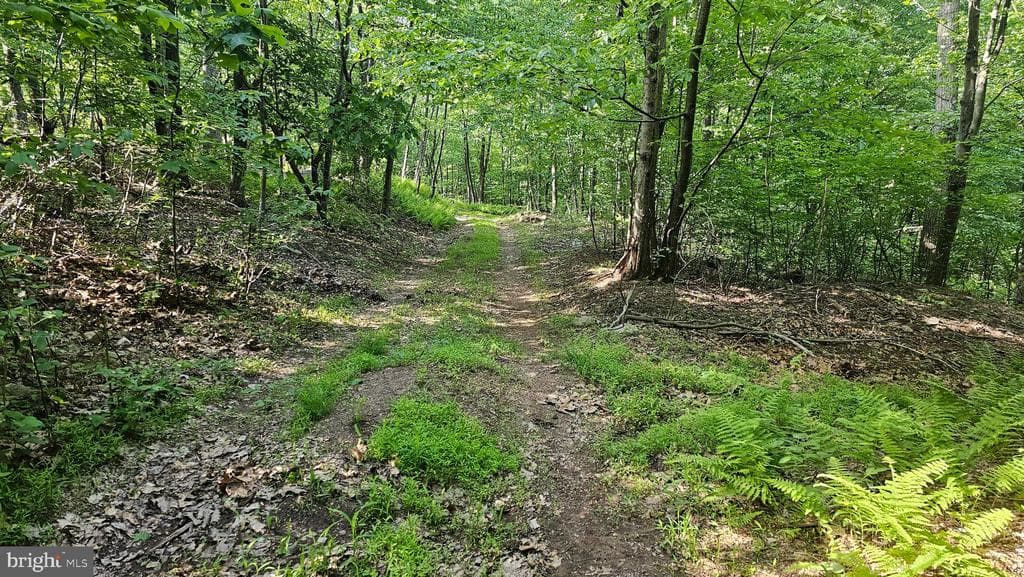 Property photo #20 for 6.74+/- Acres Dry Run Rd / Polecat Hollow Rd, Mercersburg, PA 17236
