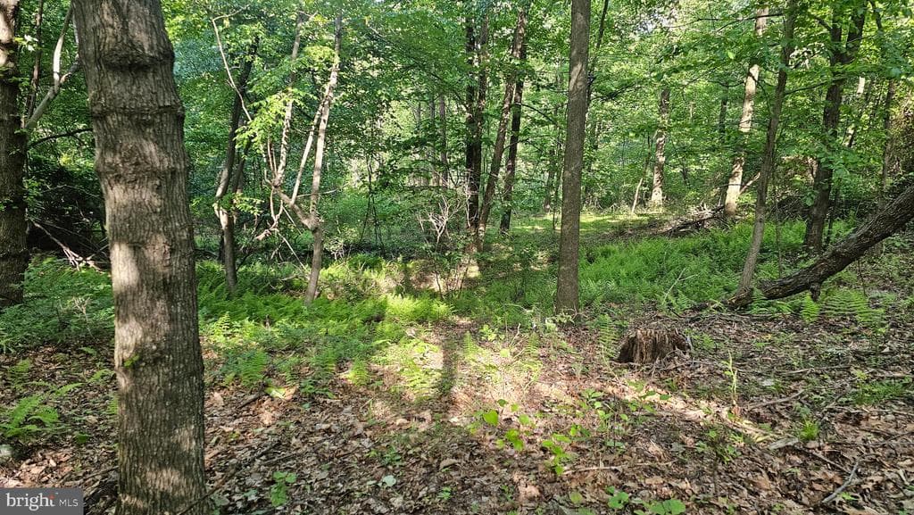Property photo #21 for 6.74+/- Acres Dry Run Rd / Polecat Hollow Rd, Mercersburg, PA 17236