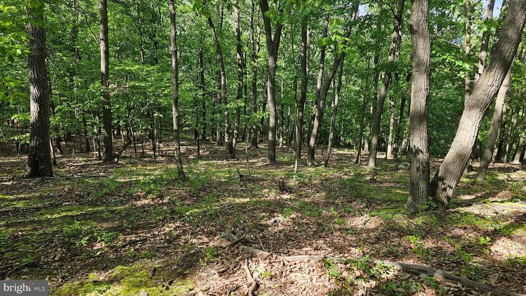 Property photo #3 for 6.74+/- Acres Dry Run Rd / Polecat Hollow Rd, Mercersburg, PA 17236