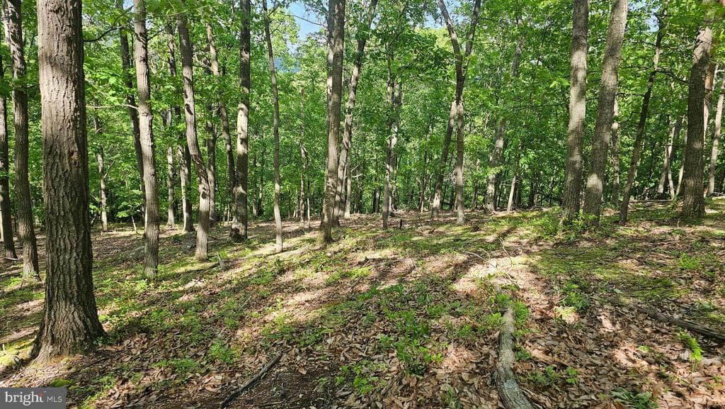 Property photo #4 for 6.74+/- Acres Dry Run Rd / Polecat Hollow Rd, Mercersburg, PA 17236