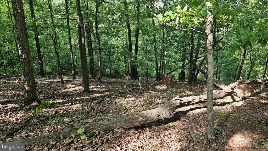 Property photo #6 for 6.74+/- Acres Dry Run Rd / Polecat Hollow Rd, Mercersburg, PA 17236