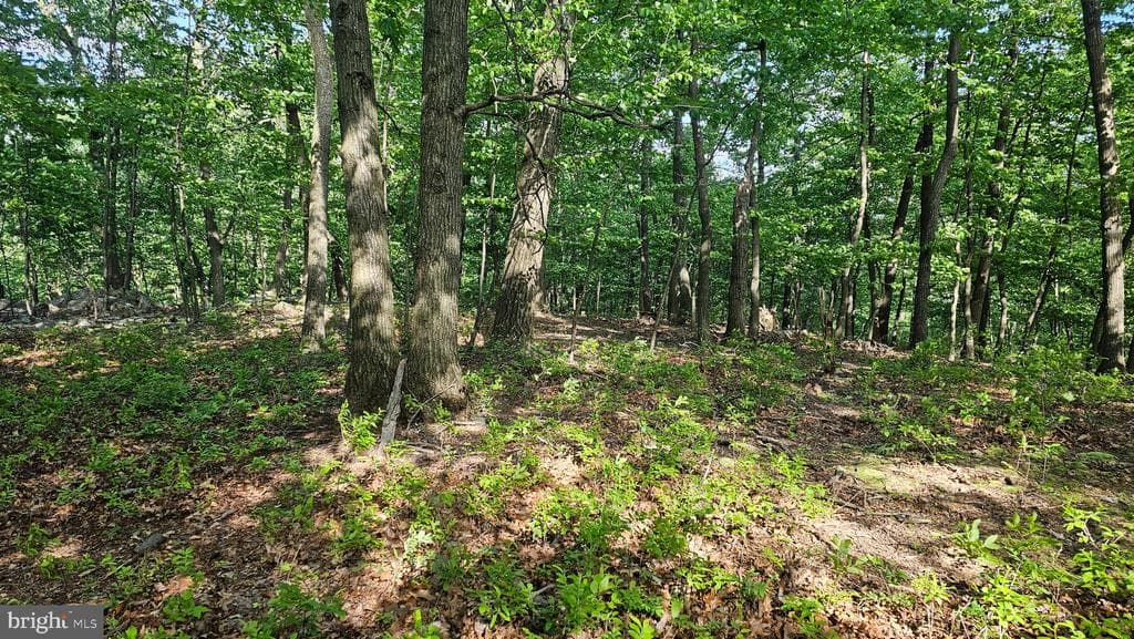 Property photo #9 for 6.74+/- Acres Dry Run Rd / Polecat Hollow Rd, Mercersburg, PA 17236