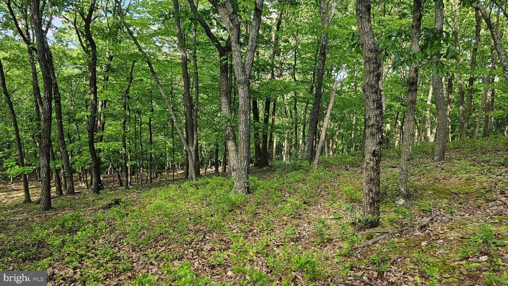 Property photo #0 for 6.74+/- Acres Dry Run Rd / Polecat Hollow Rd, Mercersburg, PA 17236