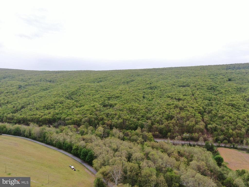 Property photo #45 for Tract 2: 27.06+/- Acres Cooks Mill Rd, Hyndman, PA 15545