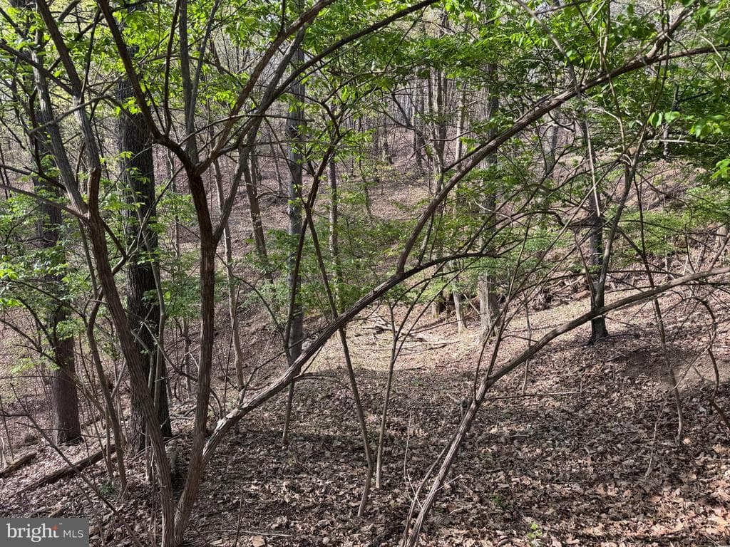Property photo #10 for 7.38+/- Acres Sassafras Rd, Petersburg, PA 16669