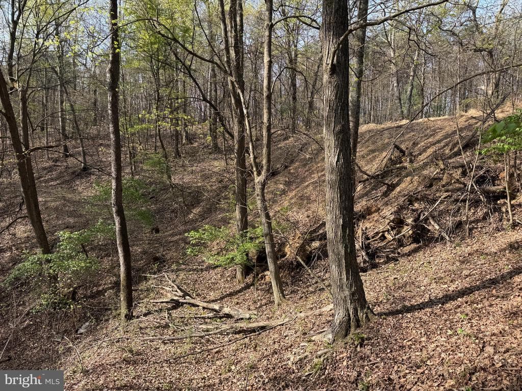 Property photo #11 for 7.38+/- Acres Sassafras Rd, Petersburg, PA 16669