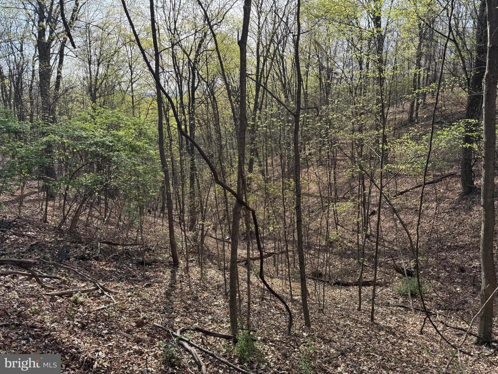Property photo #12 for 7.38+/- Acres Sassafras Rd, Petersburg, PA 16669