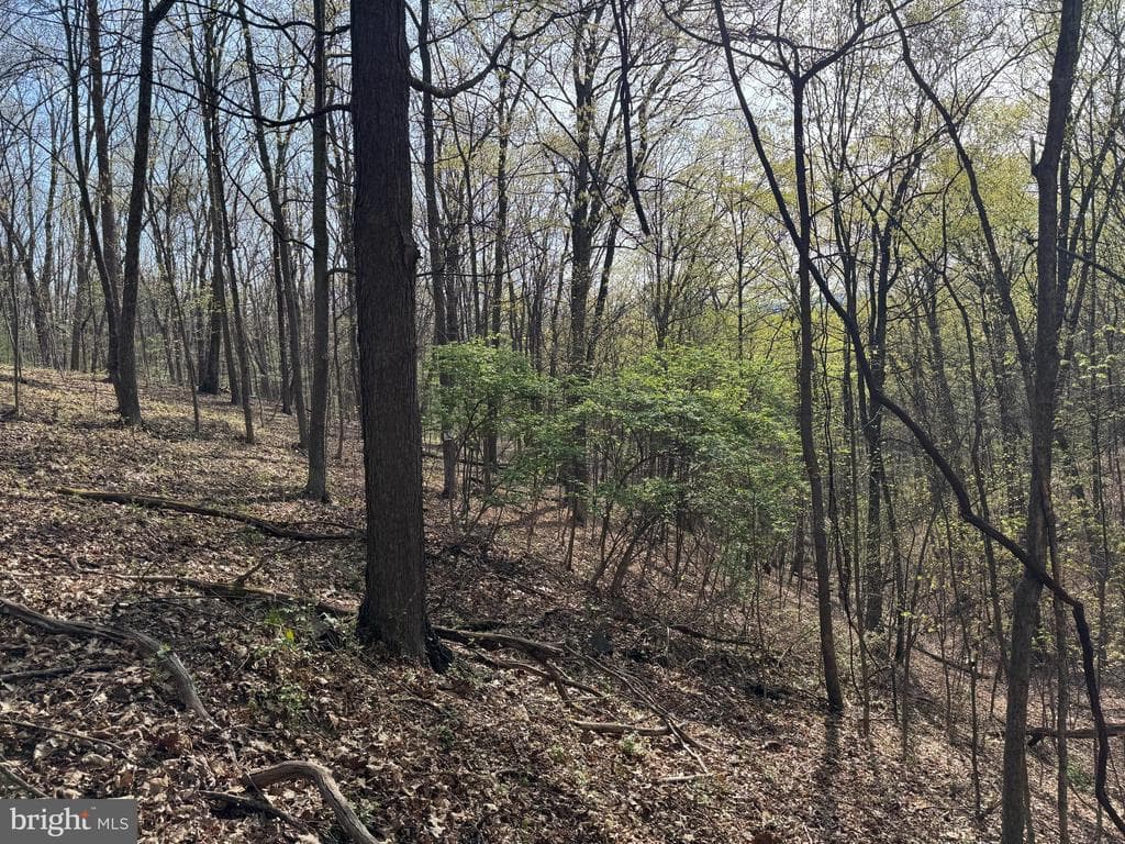 Property photo #13 for 7.38+/- Acres Sassafras Rd, Petersburg, PA 16669