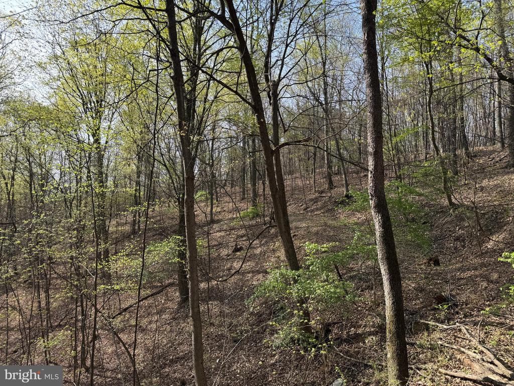 Property photo #14 for 7.38+/- Acres Sassafras Rd, Petersburg, PA 16669