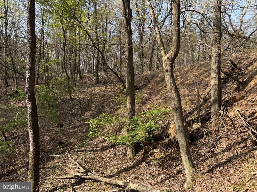 Property photo #15 for 7.38+/- Acres Sassafras Rd, Petersburg, PA 16669