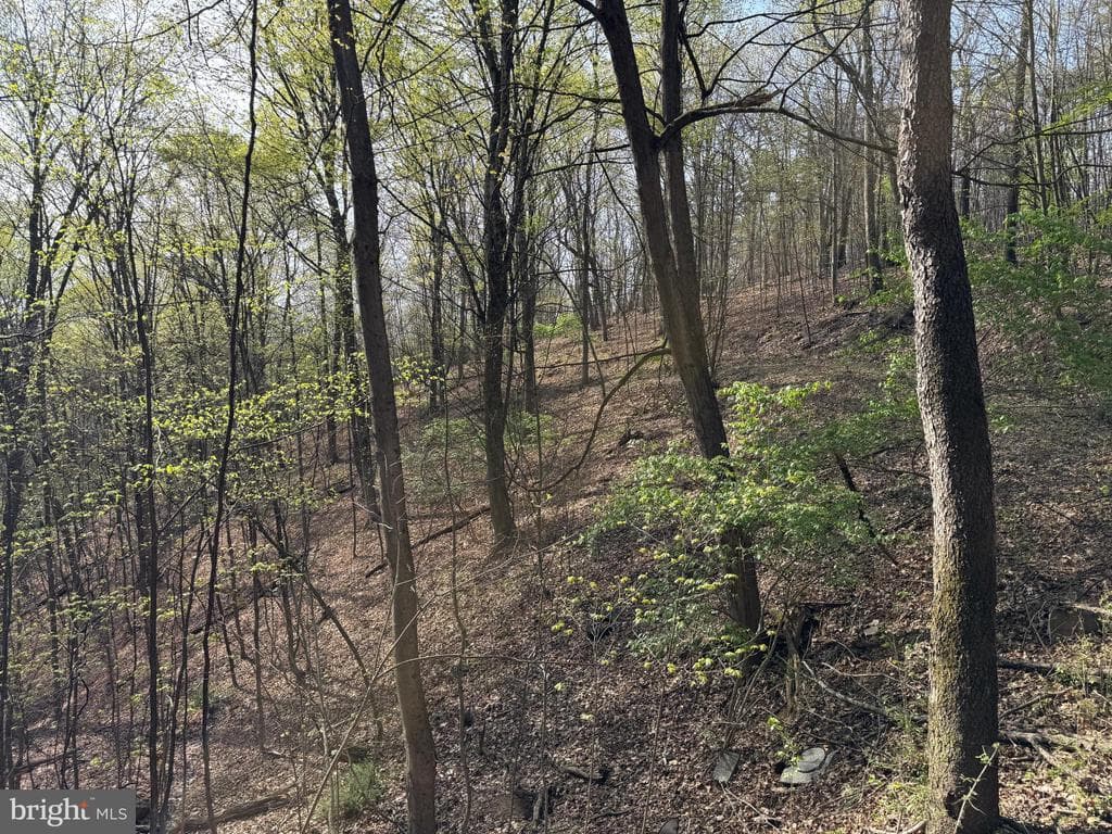 Property photo #16 for 7.38+/- Acres Sassafras Rd, Petersburg, PA 16669