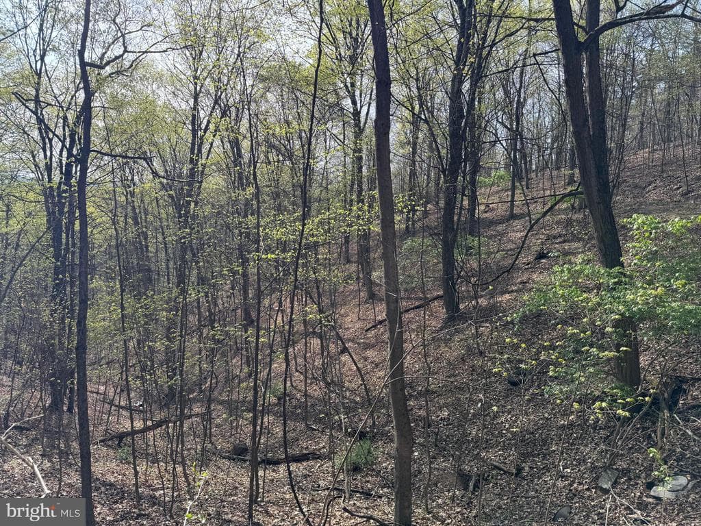 Property photo #17 for 7.38+/- Acres Sassafras Rd, Petersburg, PA 16669