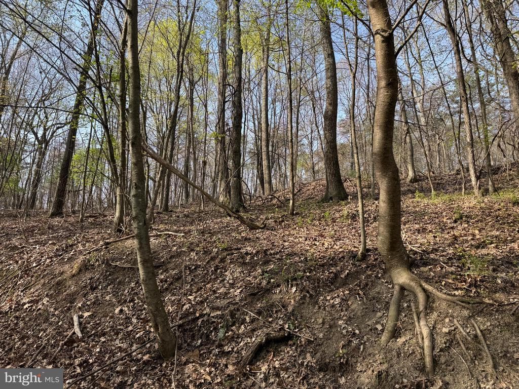Property photo #18 for 7.38+/- Acres Sassafras Rd, Petersburg, PA 16669
