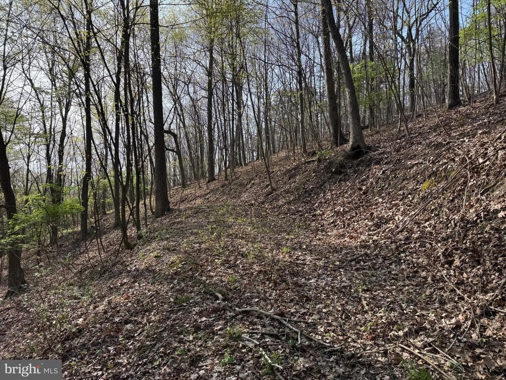 Property photo #19 for 7.38+/- Acres Sassafras Rd, Petersburg, PA 16669
