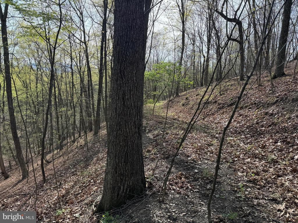 Property photo #20 for 7.38+/- Acres Sassafras Rd, Petersburg, PA 16669