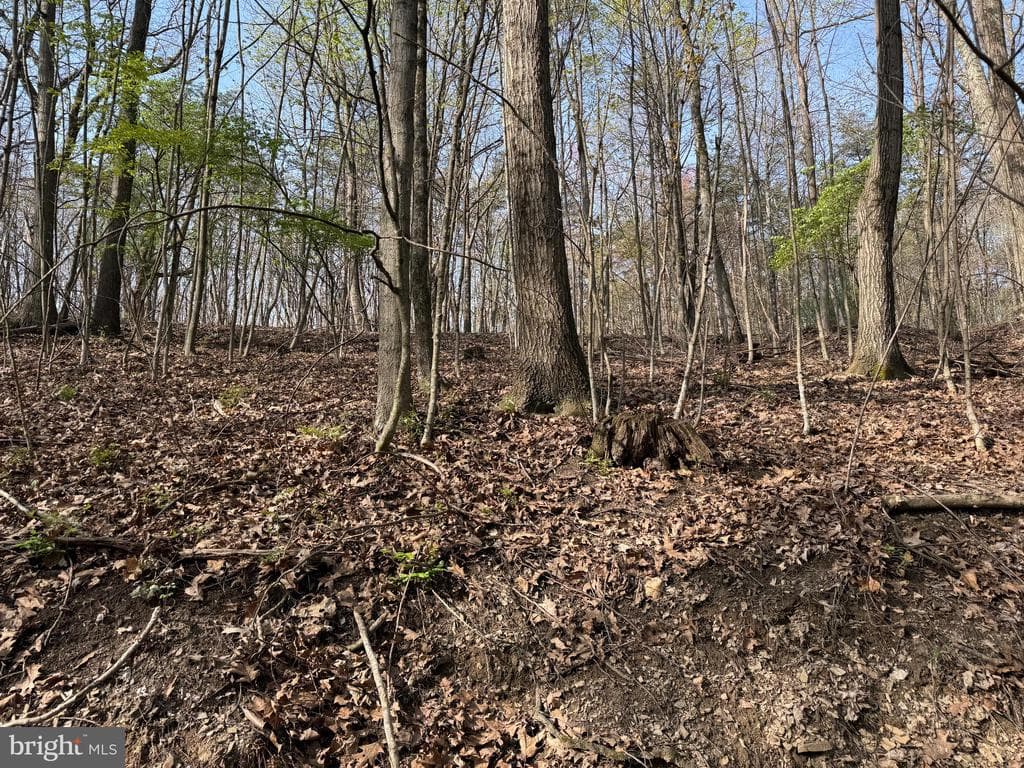 Property photo #21 for 7.38+/- Acres Sassafras Rd, Petersburg, PA 16669