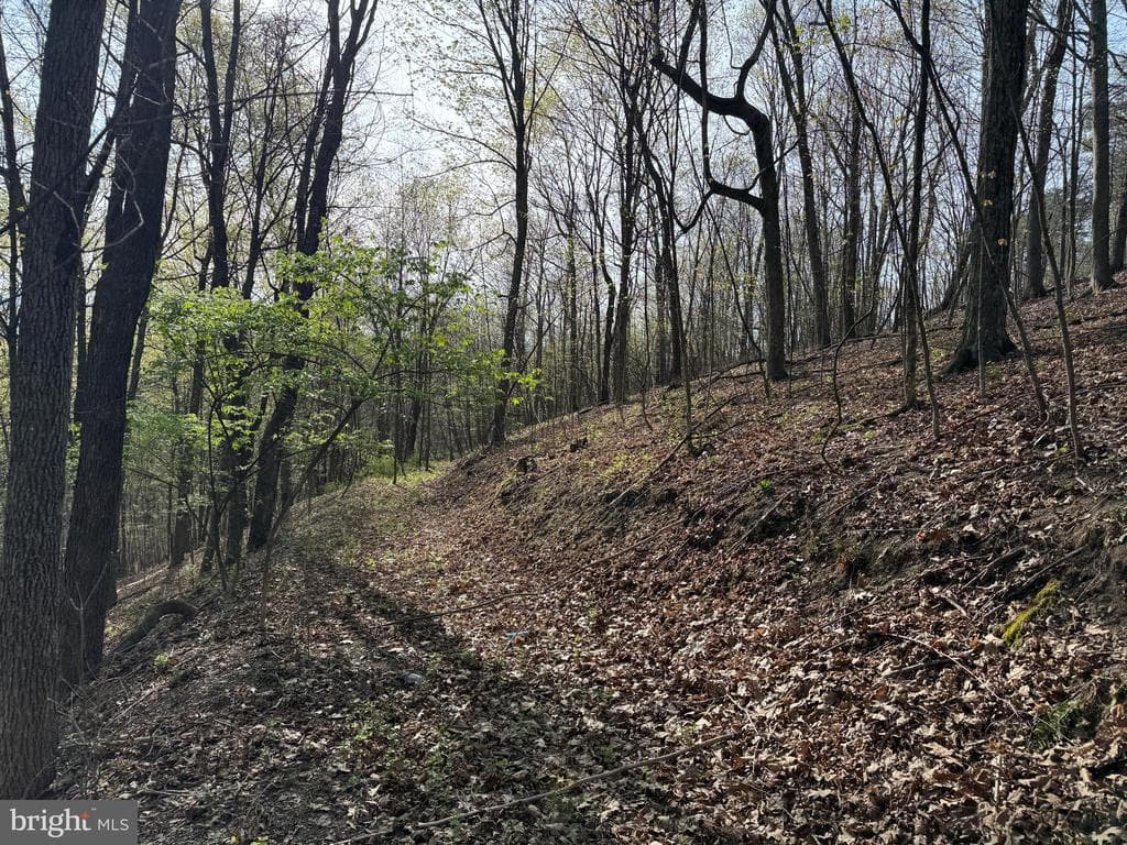 Property photo #24 for 7.38+/- Acres Sassafras Rd, Petersburg, PA 16669