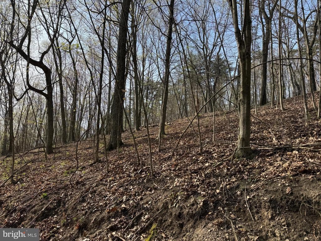 Property photo #25 for 7.38+/- Acres Sassafras Rd, Petersburg, PA 16669