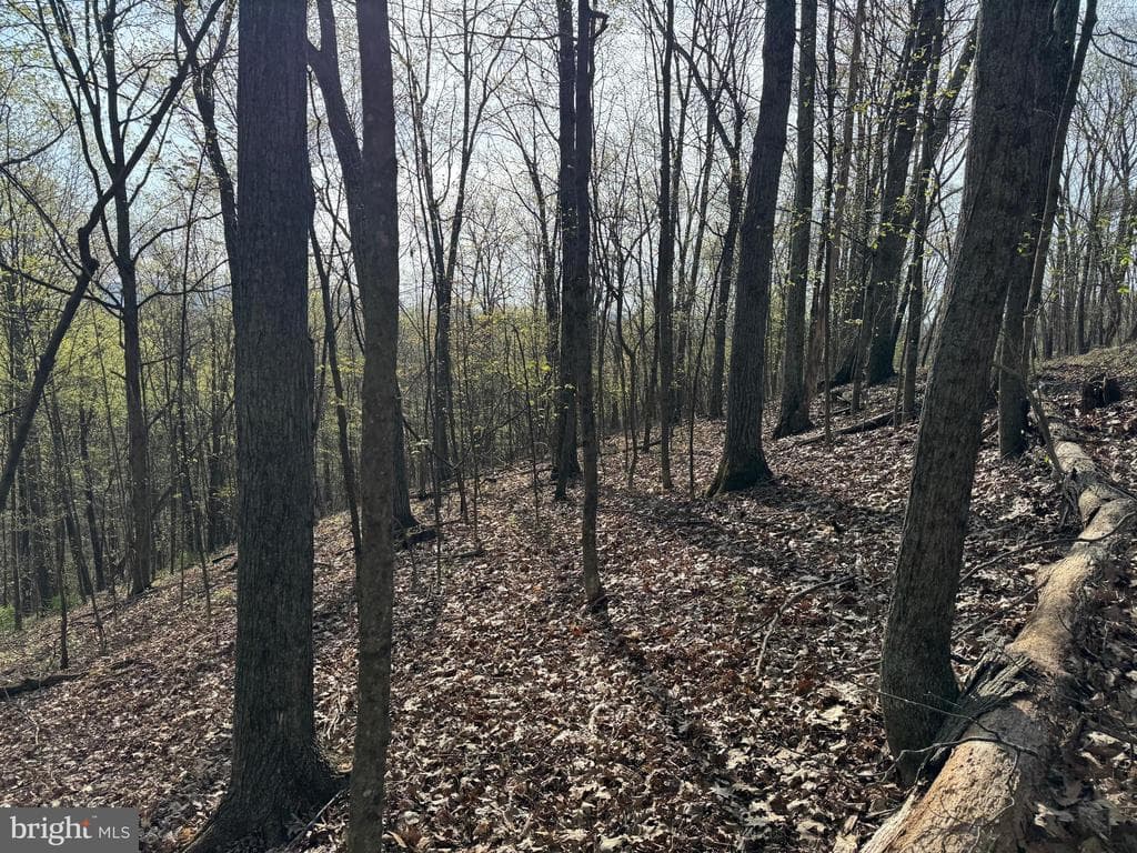 Property photo #27 for 7.38+/- Acres Sassafras Rd, Petersburg, PA 16669
