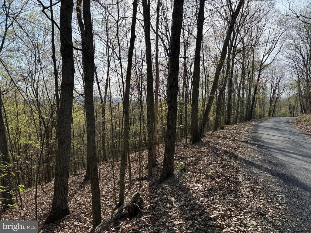 Property photo #28 for 7.38+/- Acres Sassafras Rd, Petersburg, PA 16669