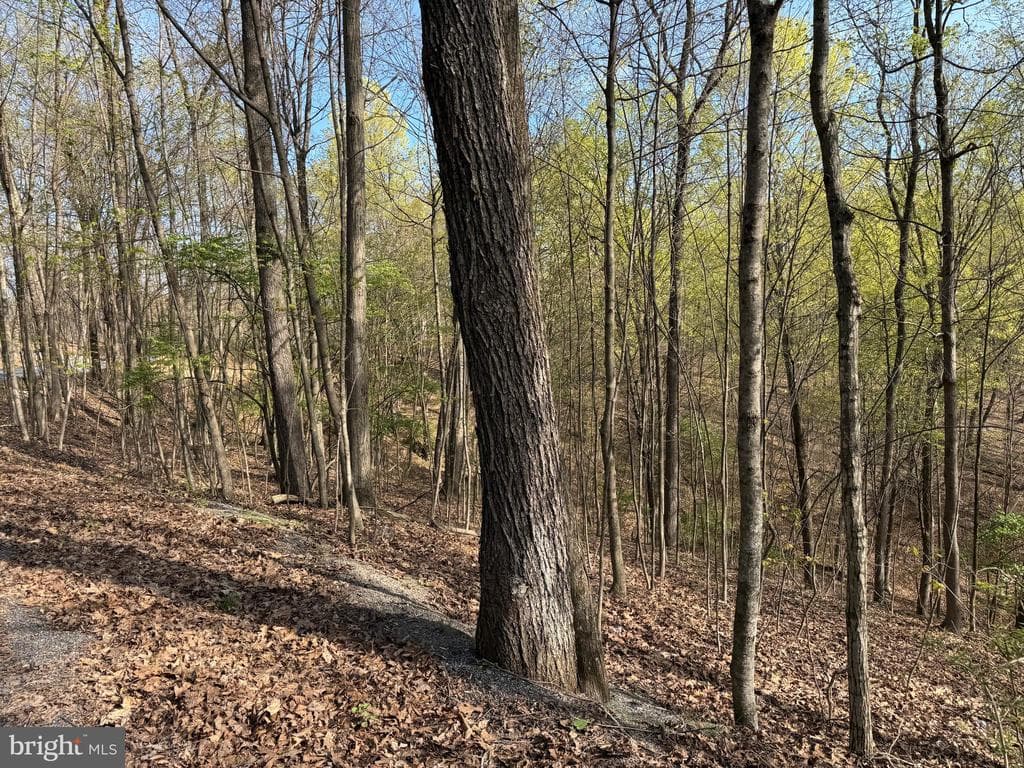 Property photo #29 for 7.38+/- Acres Sassafras Rd, Petersburg, PA 16669