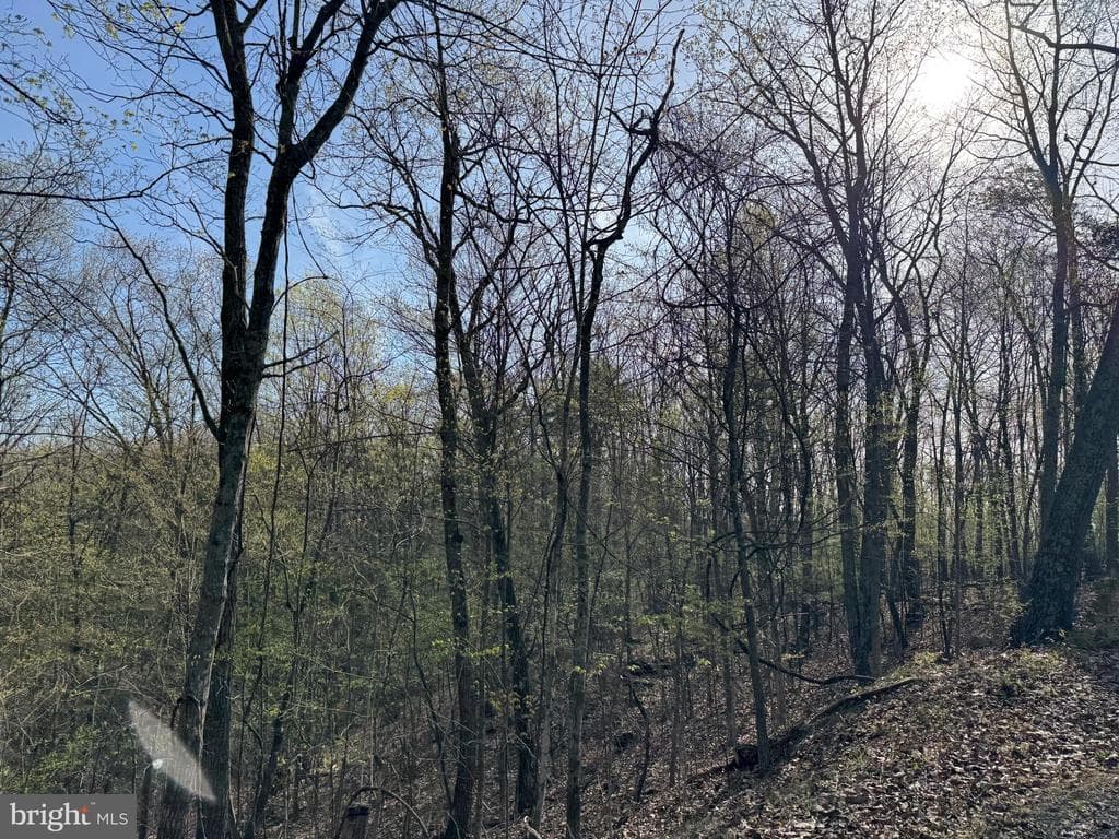 Property photo #30 for 7.38+/- Acres Sassafras Rd, Petersburg, PA 16669