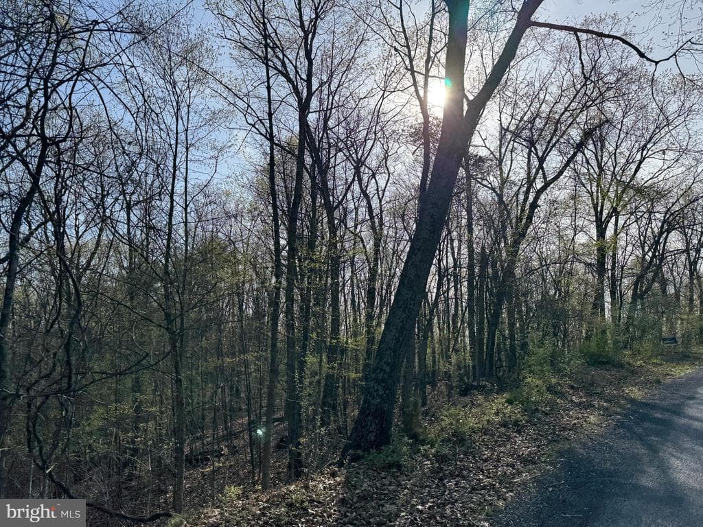 Property photo #31 for 7.38+/- Acres Sassafras Rd, Petersburg, PA 16669