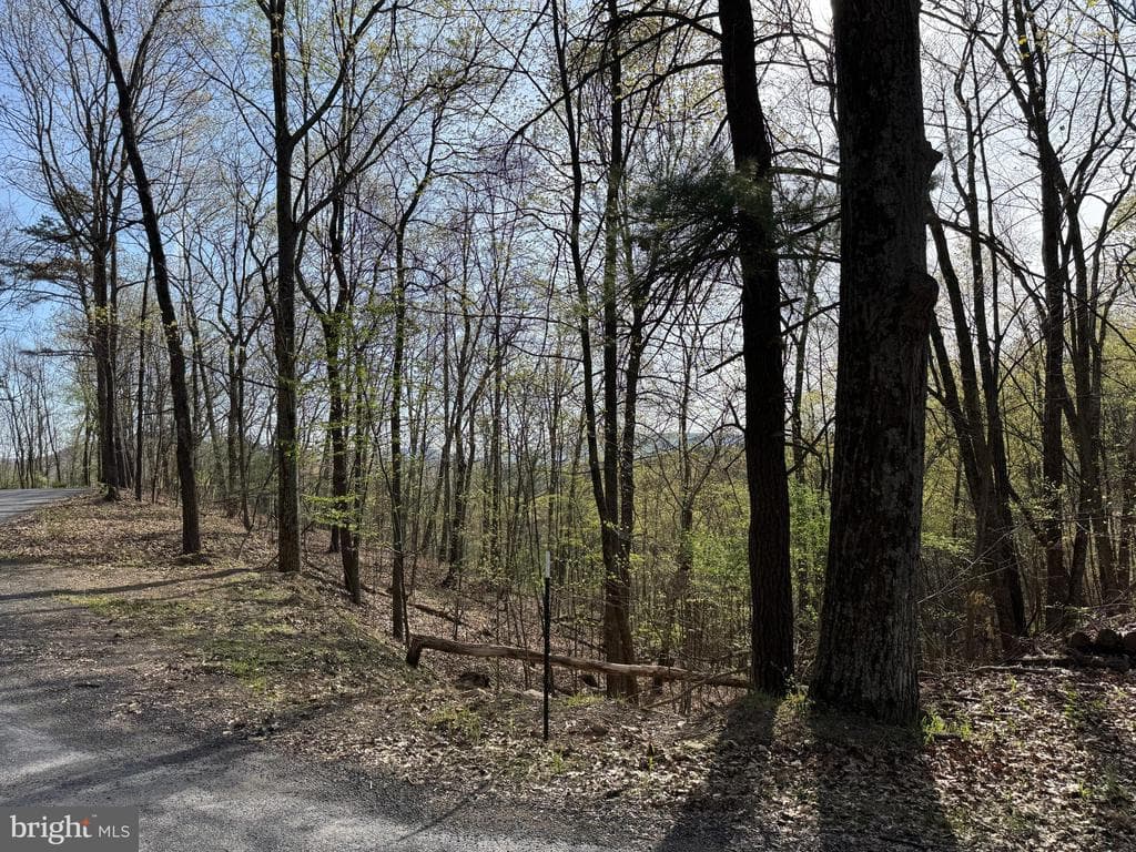 Property photo #33 for 7.38+/- Acres Sassafras Rd, Petersburg, PA 16669