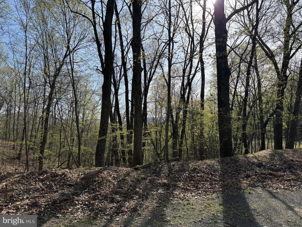 Property photo #34 for 7.38+/- Acres Sassafras Rd, Petersburg, PA 16669