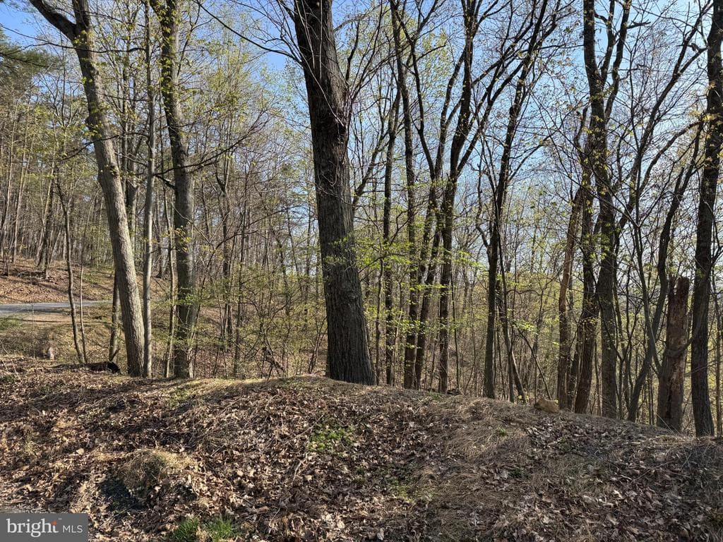 Property photo #35 for 7.38+/- Acres Sassafras Rd, Petersburg, PA 16669