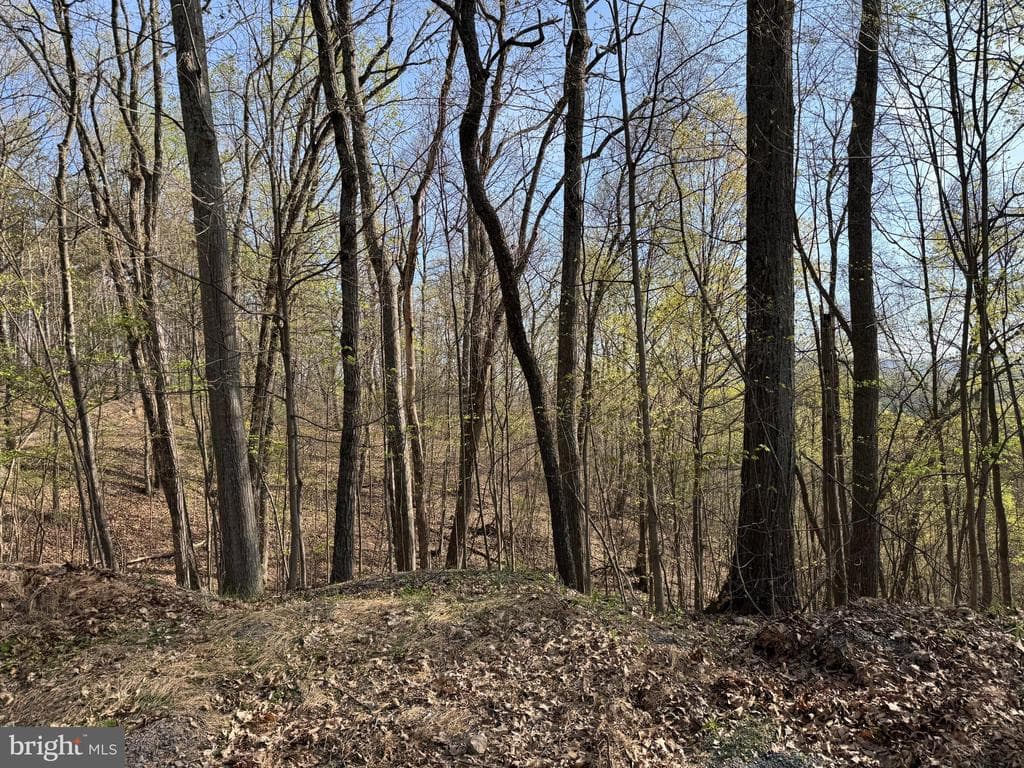 Property photo #36 for 7.38+/- Acres Sassafras Rd, Petersburg, PA 16669