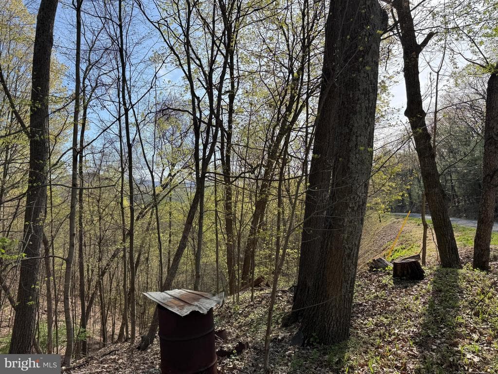 Property photo #37 for 7.38+/- Acres Sassafras Rd, Petersburg, PA 16669