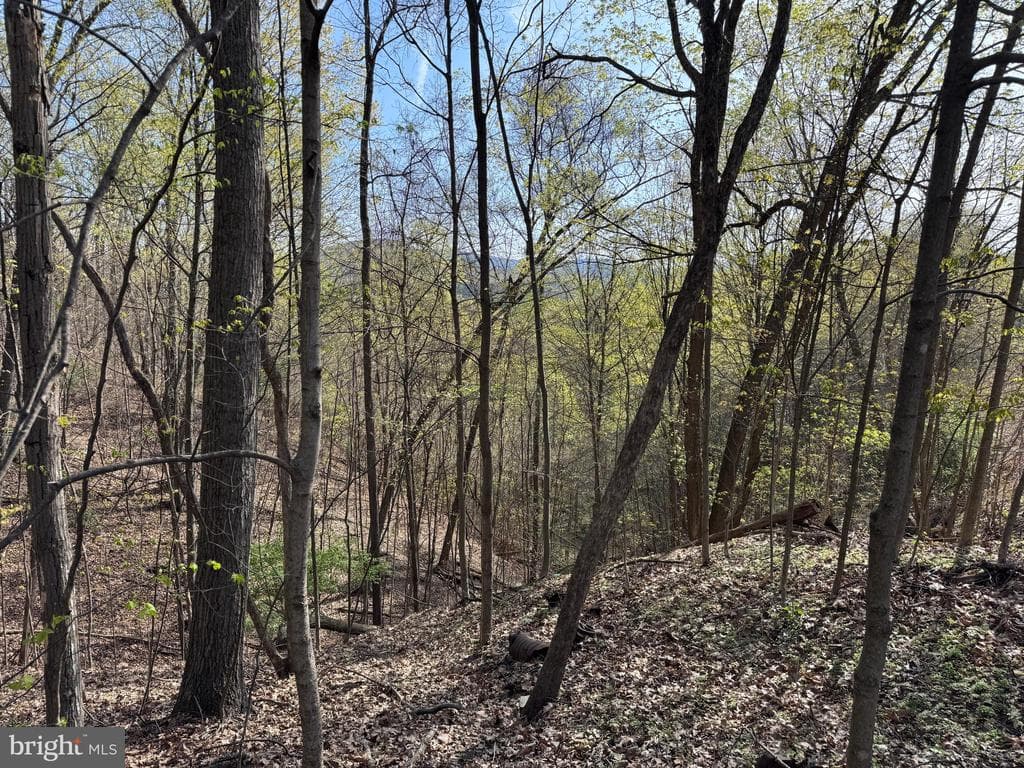 Property photo #38 for 7.38+/- Acres Sassafras Rd, Petersburg, PA 16669