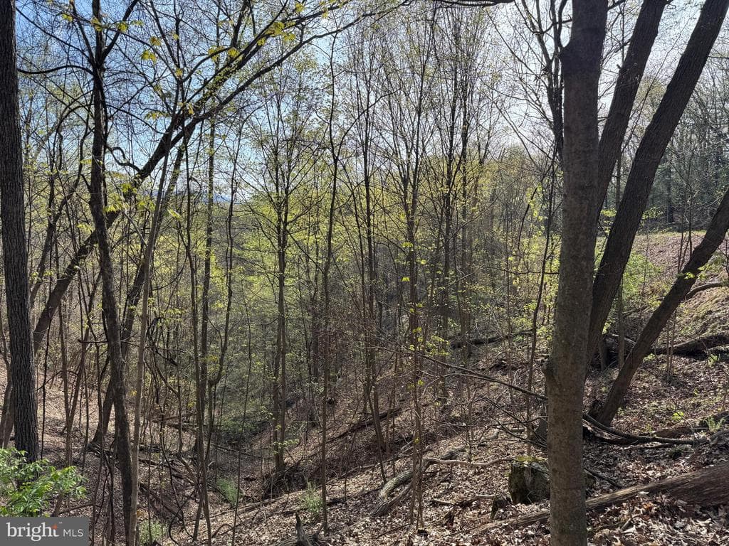 Property photo #39 for 7.38+/- Acres Sassafras Rd, Petersburg, PA 16669