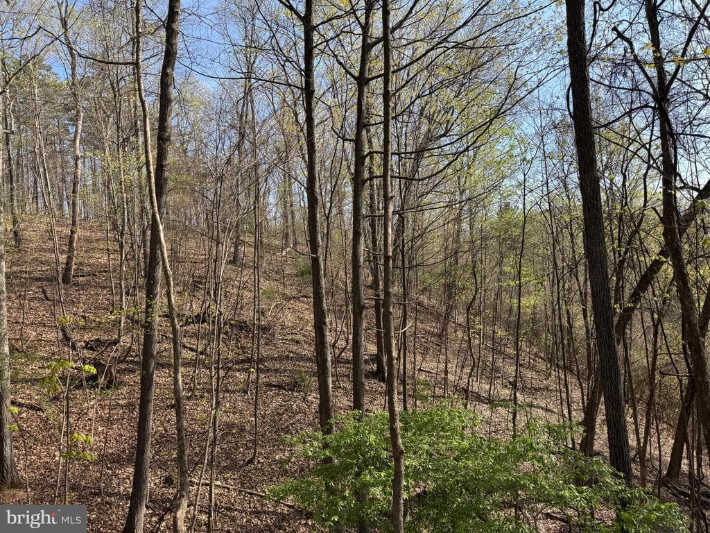 Property photo #40 for 7.38+/- Acres Sassafras Rd, Petersburg, PA 16669