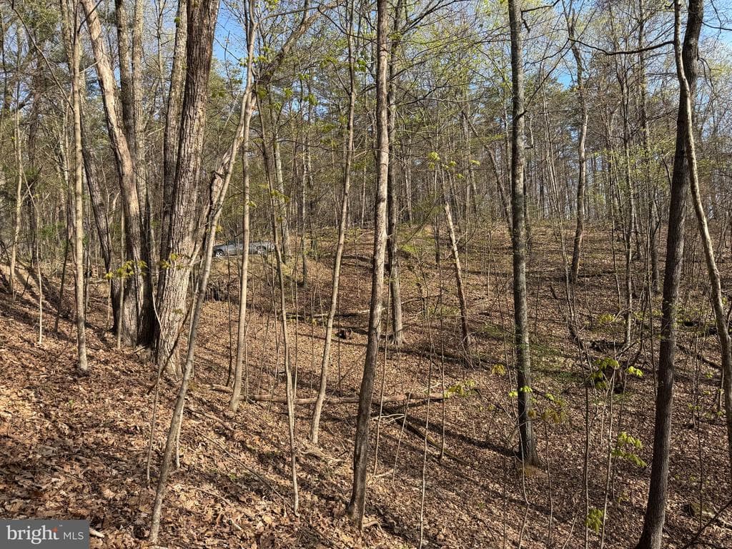 Property photo #41 for 7.38+/- Acres Sassafras Rd, Petersburg, PA 16669