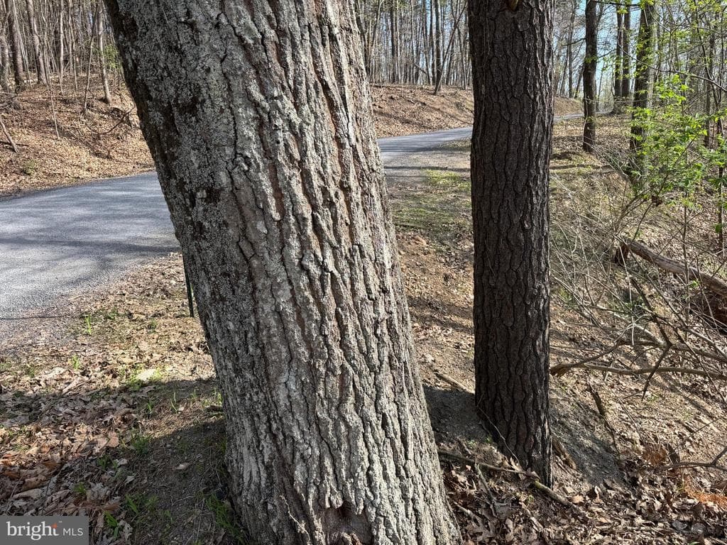 Property photo #44 for 7.38+/- Acres Sassafras Rd, Petersburg, PA 16669