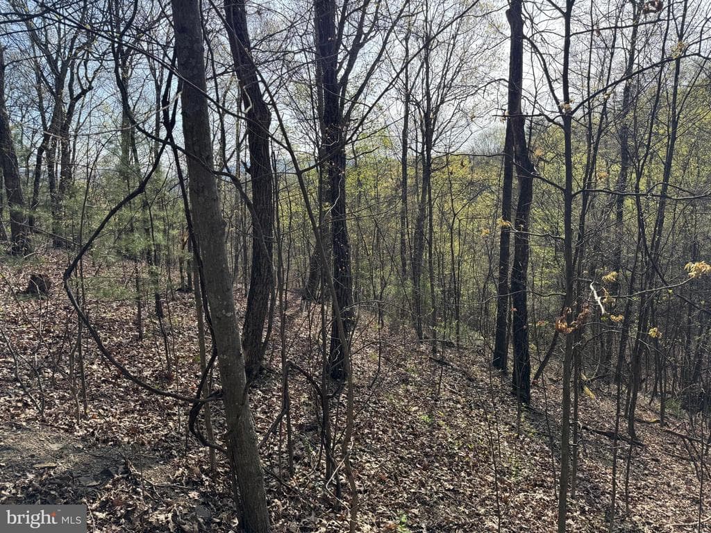 Property photo #45 for 7.38+/- Acres Sassafras Rd, Petersburg, PA 16669