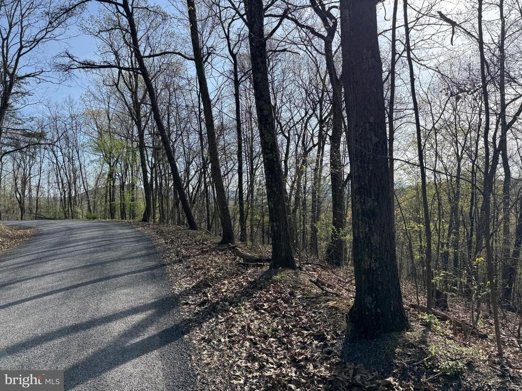 Property photo #46 for 7.38+/- Acres Sassafras Rd, Petersburg, PA 16669
