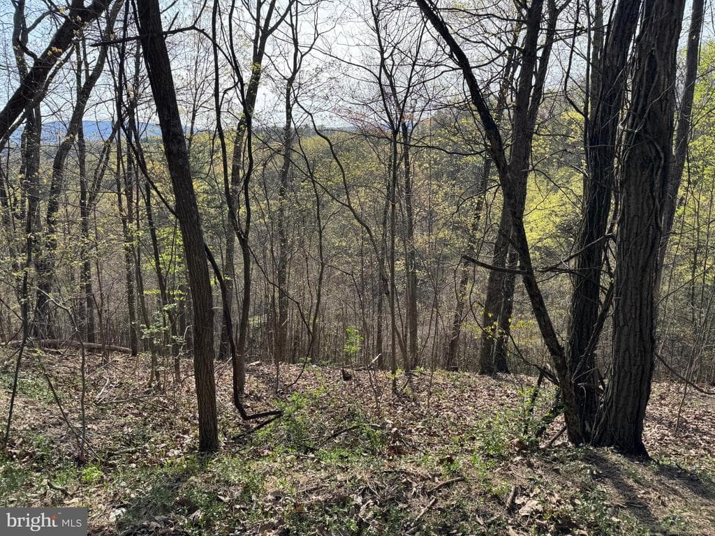 Property photo #47 for 7.38+/- Acres Sassafras Rd, Petersburg, PA 16669