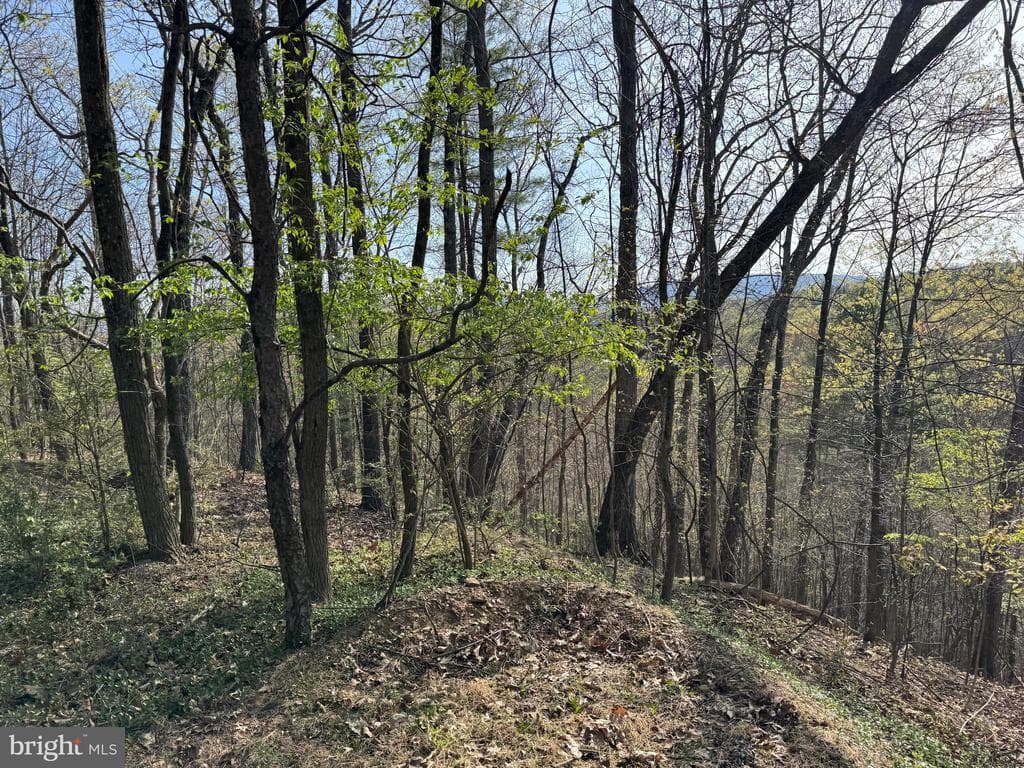 Property photo #48 for 7.38+/- Acres Sassafras Rd, Petersburg, PA 16669