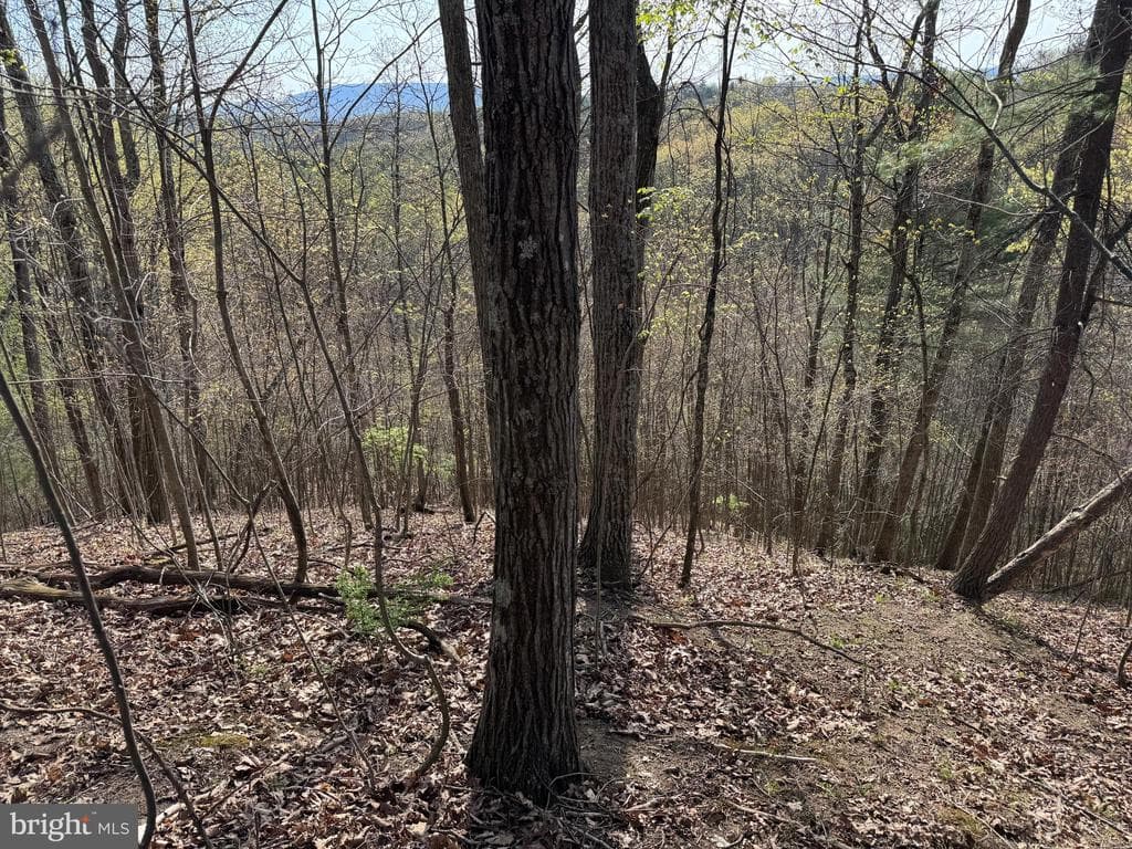 Property photo #49 for 7.38+/- Acres Sassafras Rd, Petersburg, PA 16669